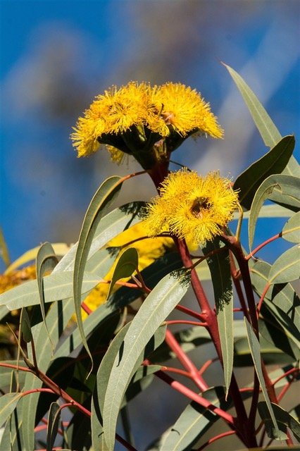 Kurringai Cottage 24 June 2018 _DSC1893