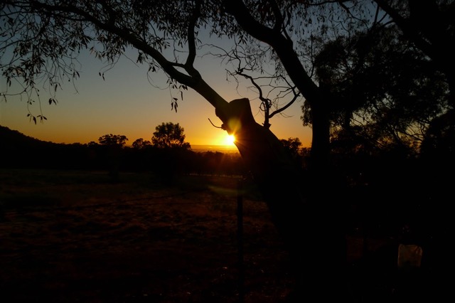 Kurringai Cottage 25 June 2018 P2270217