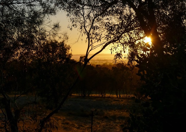 Kurringai Cottage 25 June 2018 P2270229