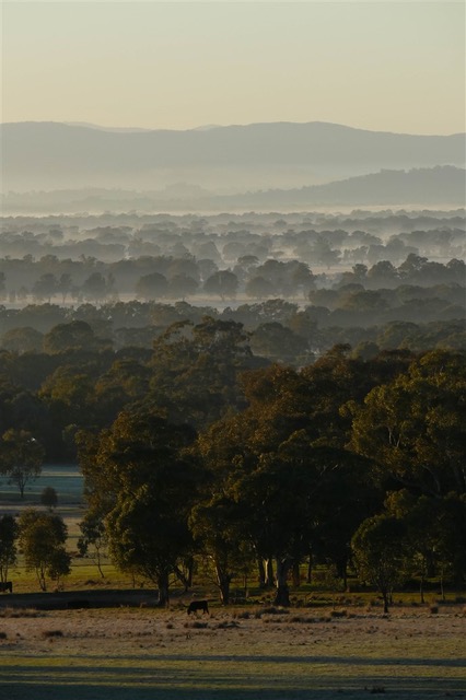 Kurringai Cottage 25 June 2018 P2270238