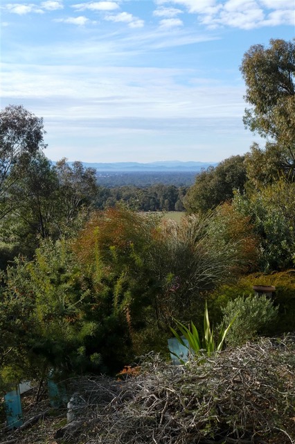 Kurringai Cottage 27 June 2018 P2270580