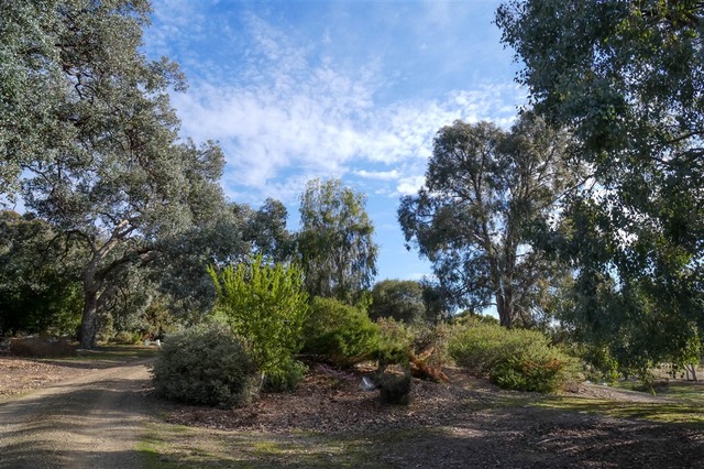 Kurringai Cottage 27 June 2018 P2270605