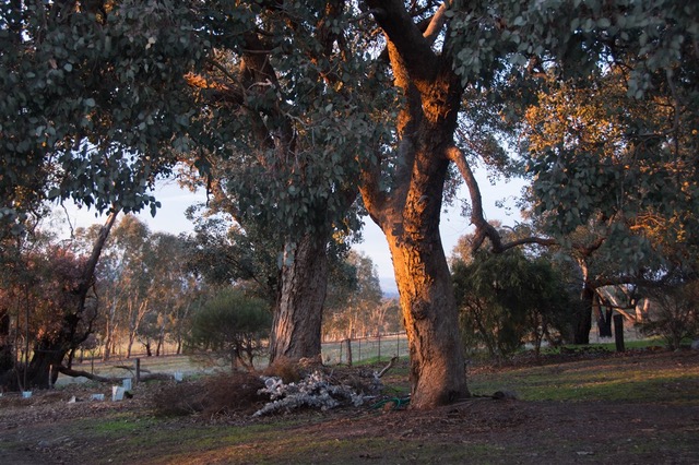 Kurringai Cottage 27 June 2018 _MNV5144